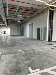 Ct Foodnex (D25), Factory #576569431